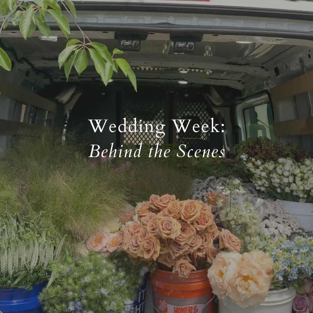 The title reads: "Wedding Week: Behind the Scenes"